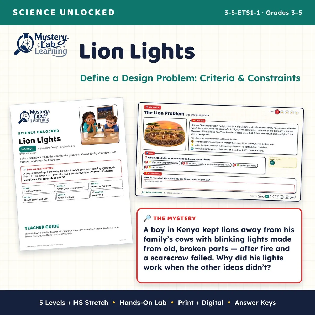 Lion Lights cover
