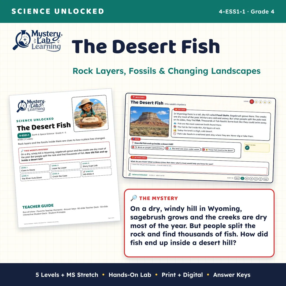 The Desert Fish cover