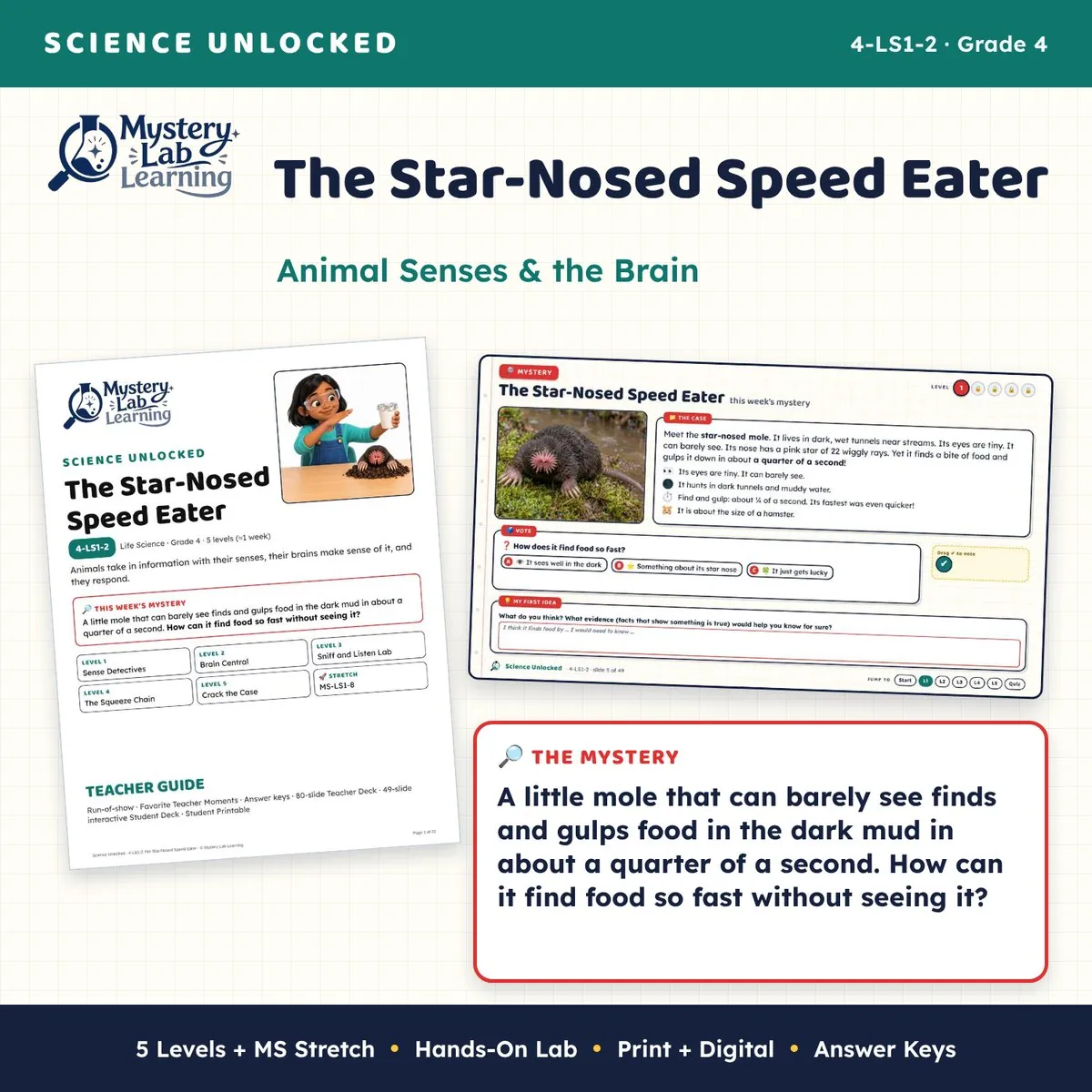 The Star-Nosed Speed Eater cover