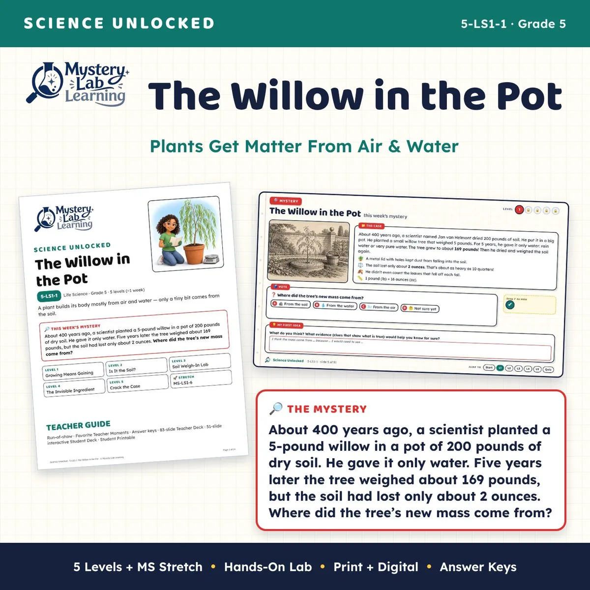 The Willow in the Pot cover