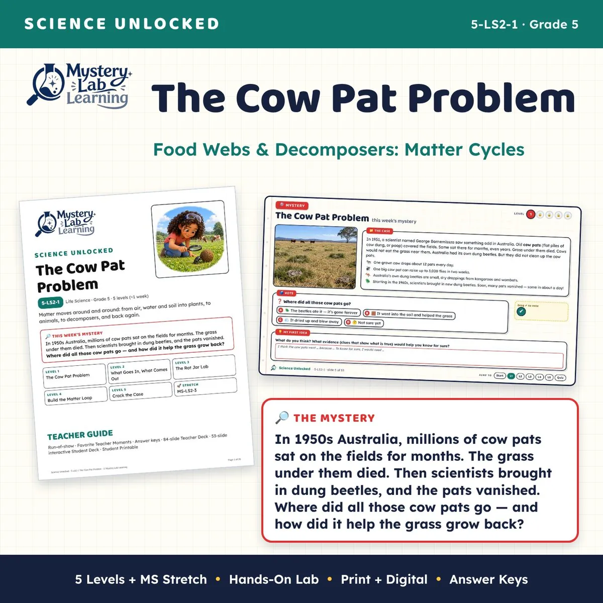 The Cow Pat Problem cover