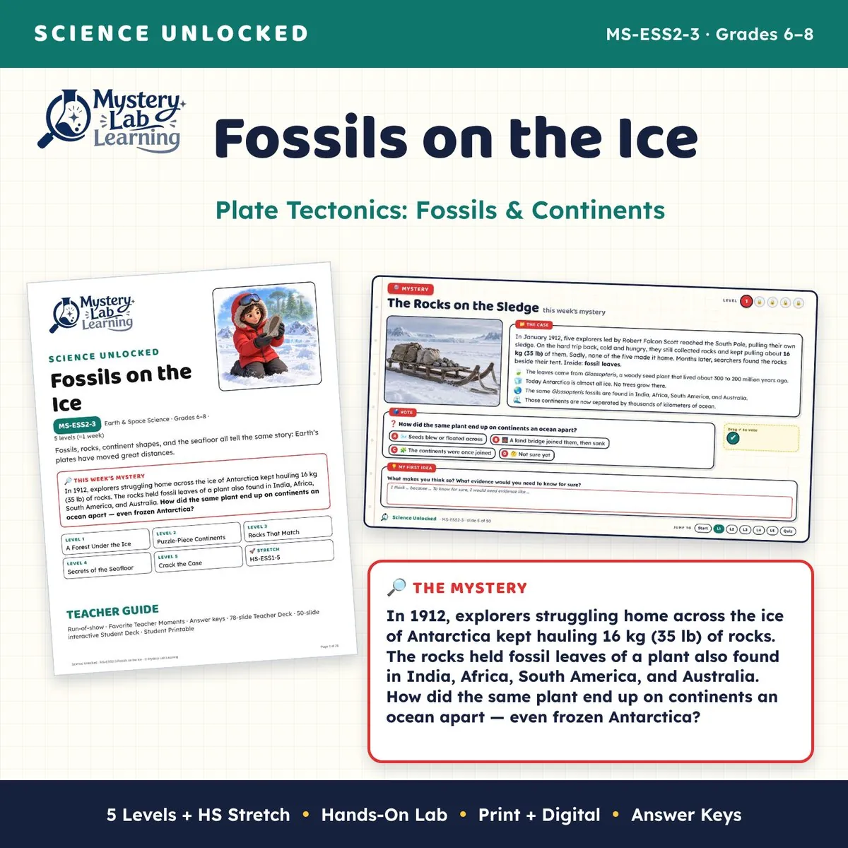 Fossils on the Ice cover