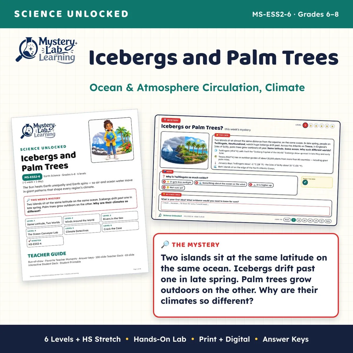 Icebergs and Palm Trees cover