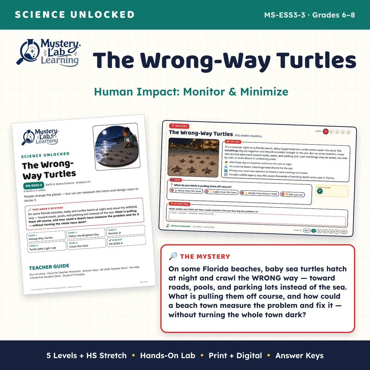 The Wrong-Way Turtles cover