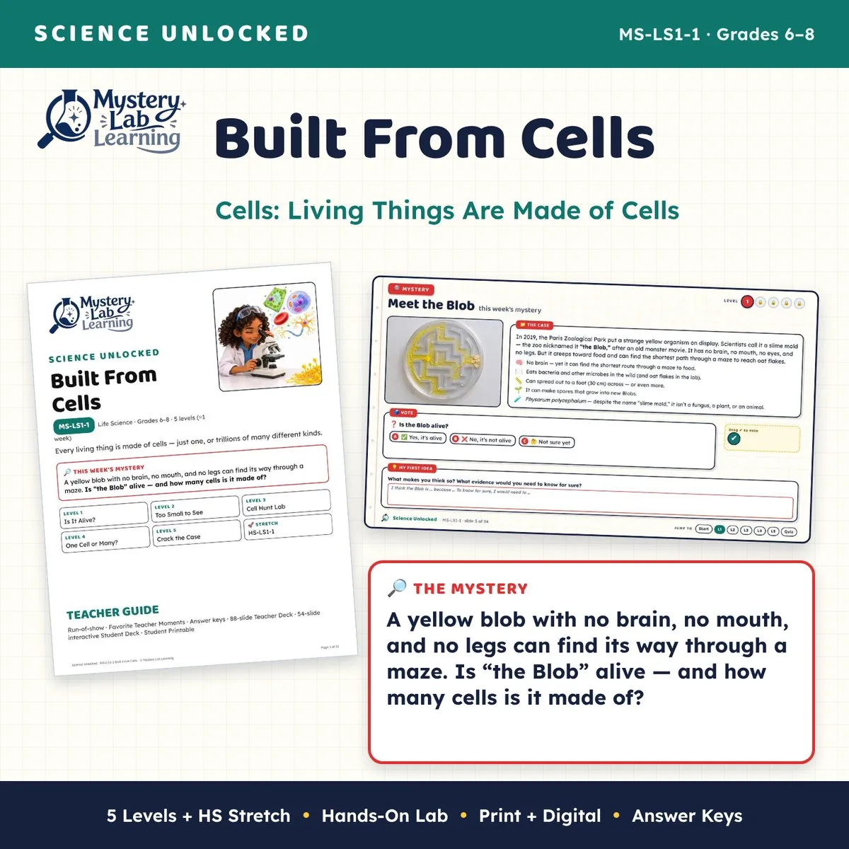 Built From Cells cover