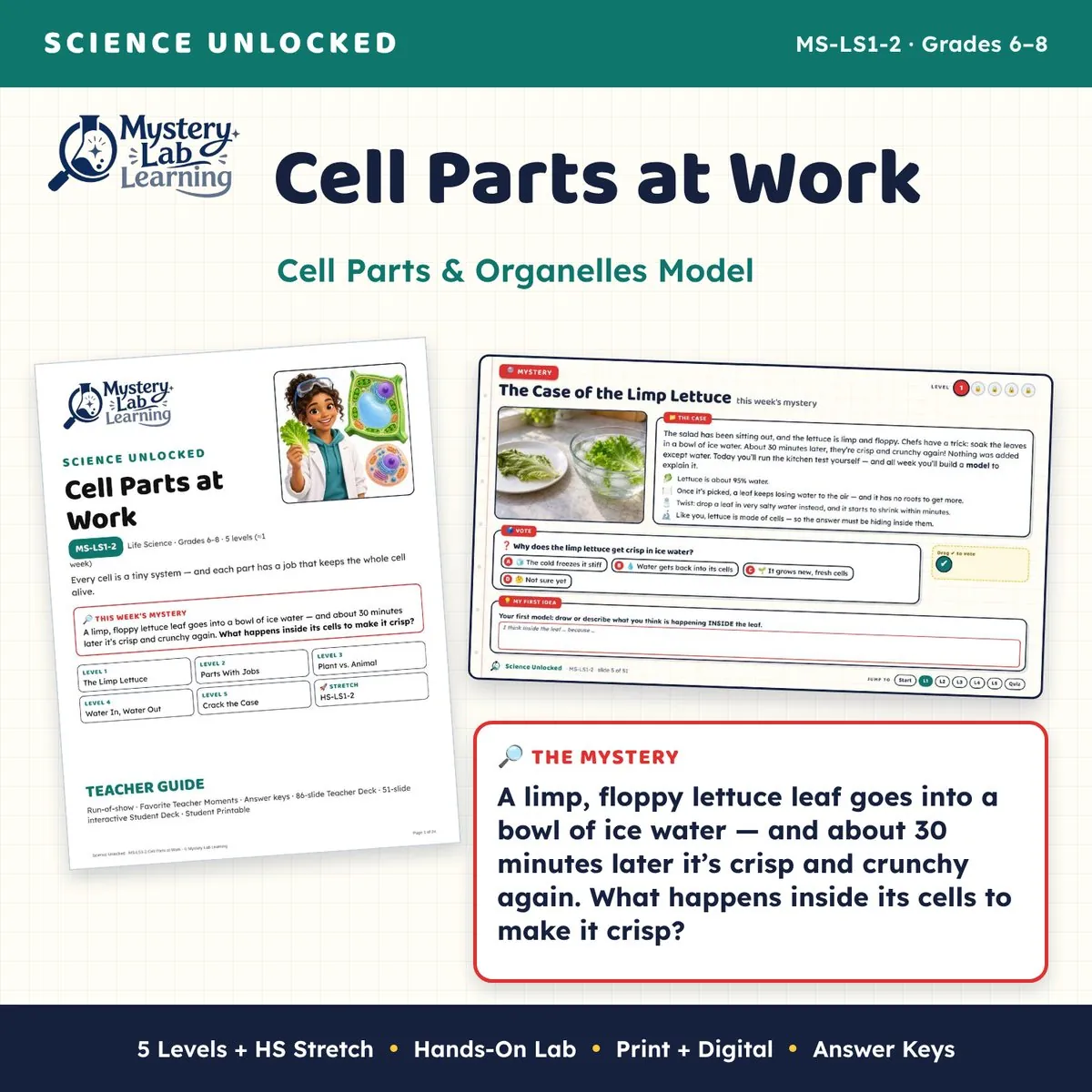 Cell Parts at Work cover