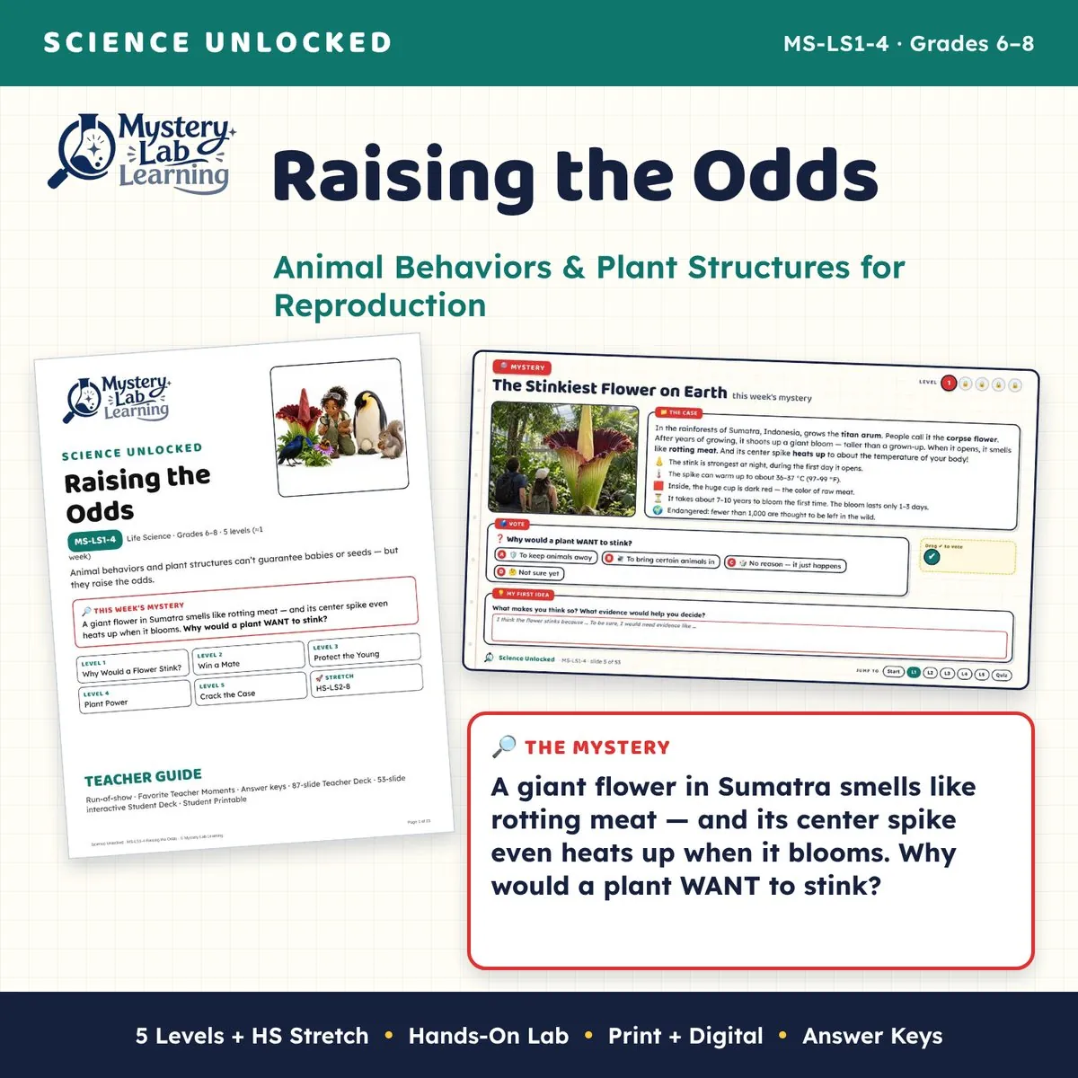 Raising the Odds cover