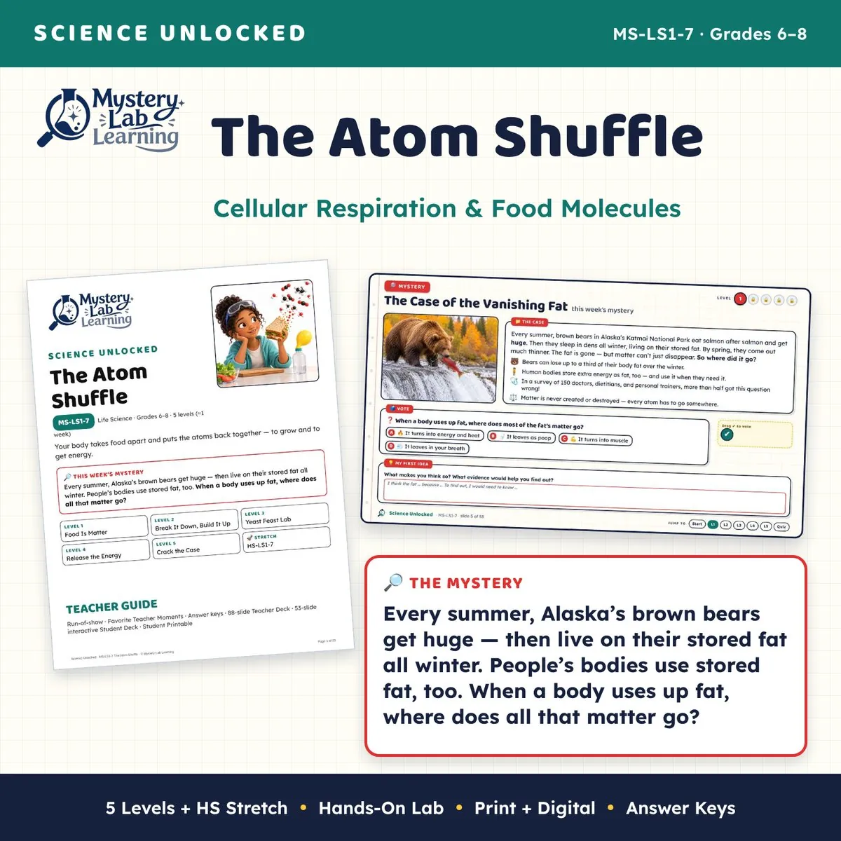 The Atom Shuffle cover