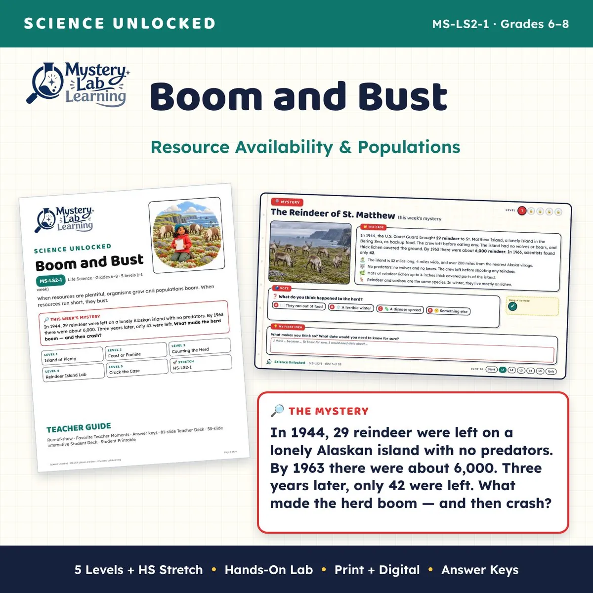 Boom and Bust cover