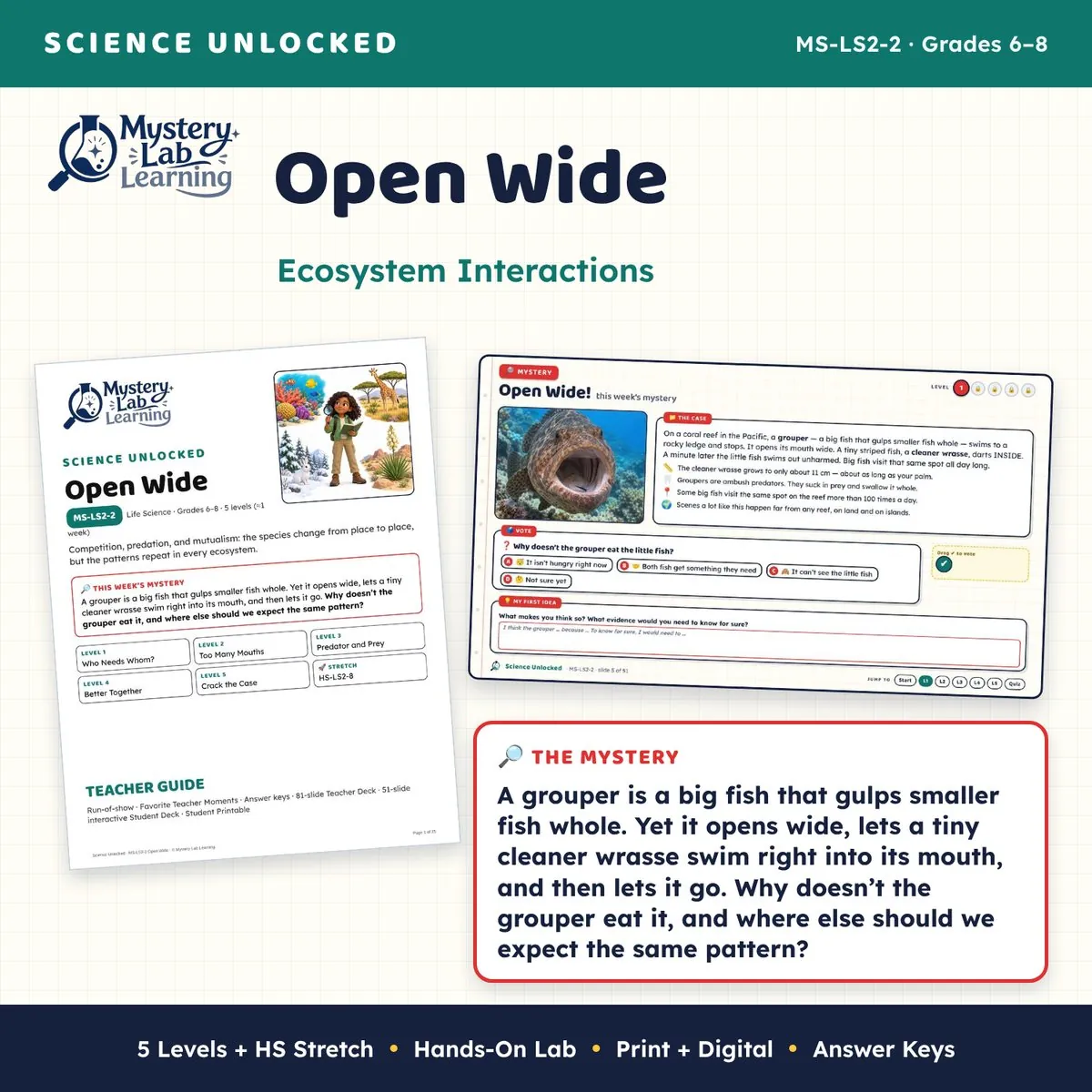Open Wide cover