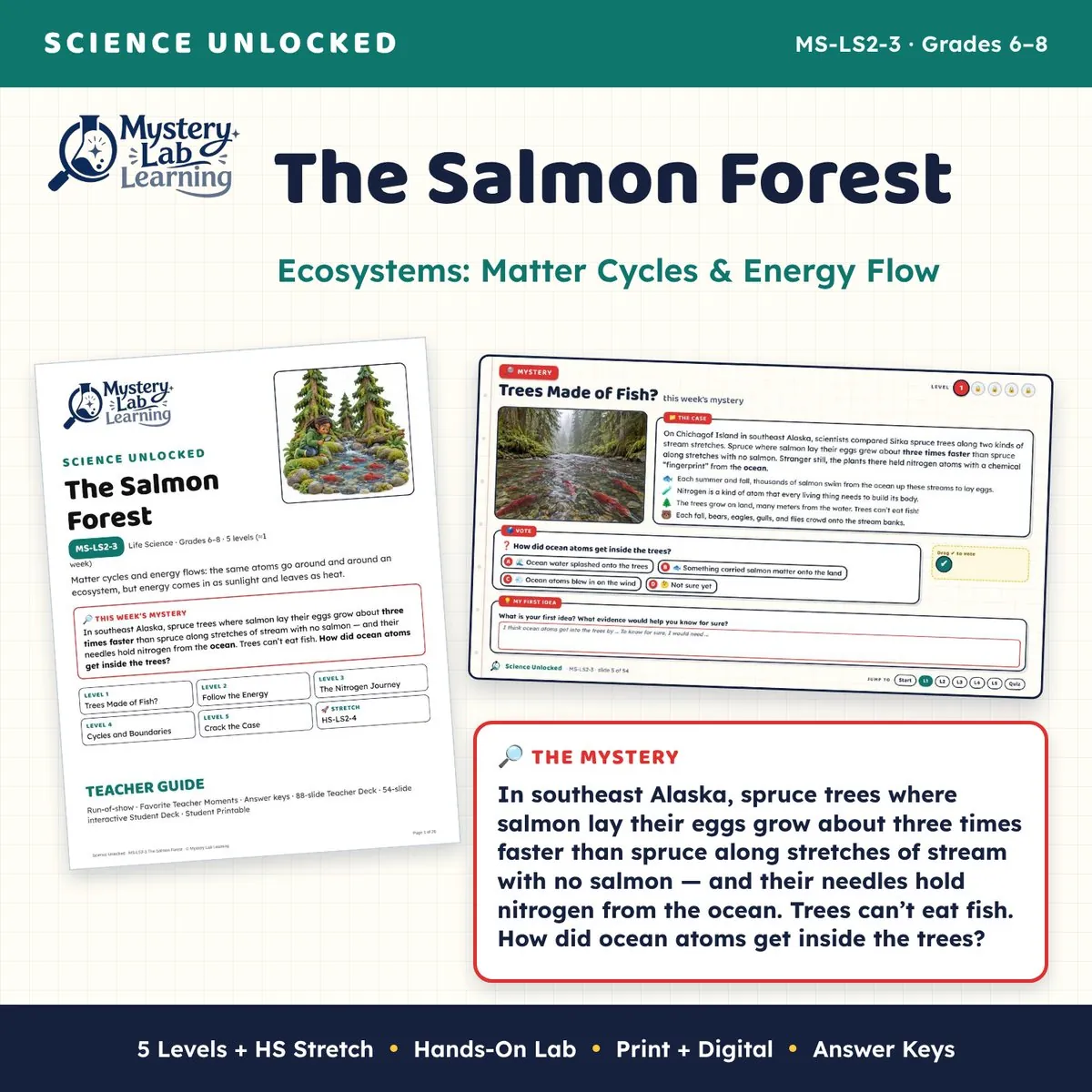 The Salmon Forest cover