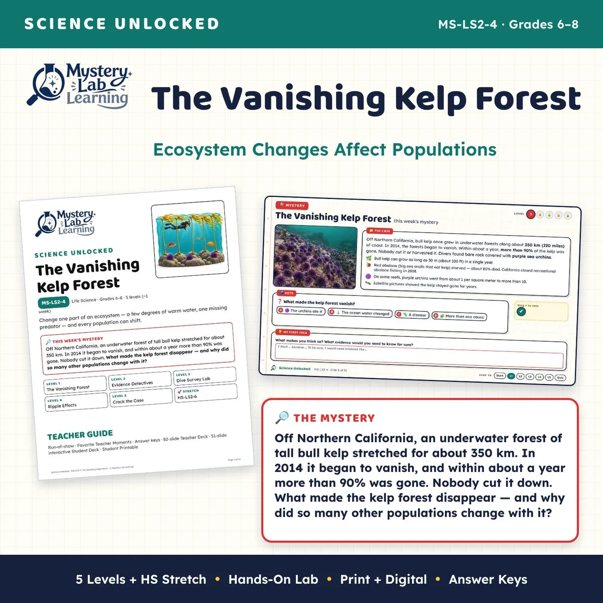 The Vanishing Kelp Forest cover