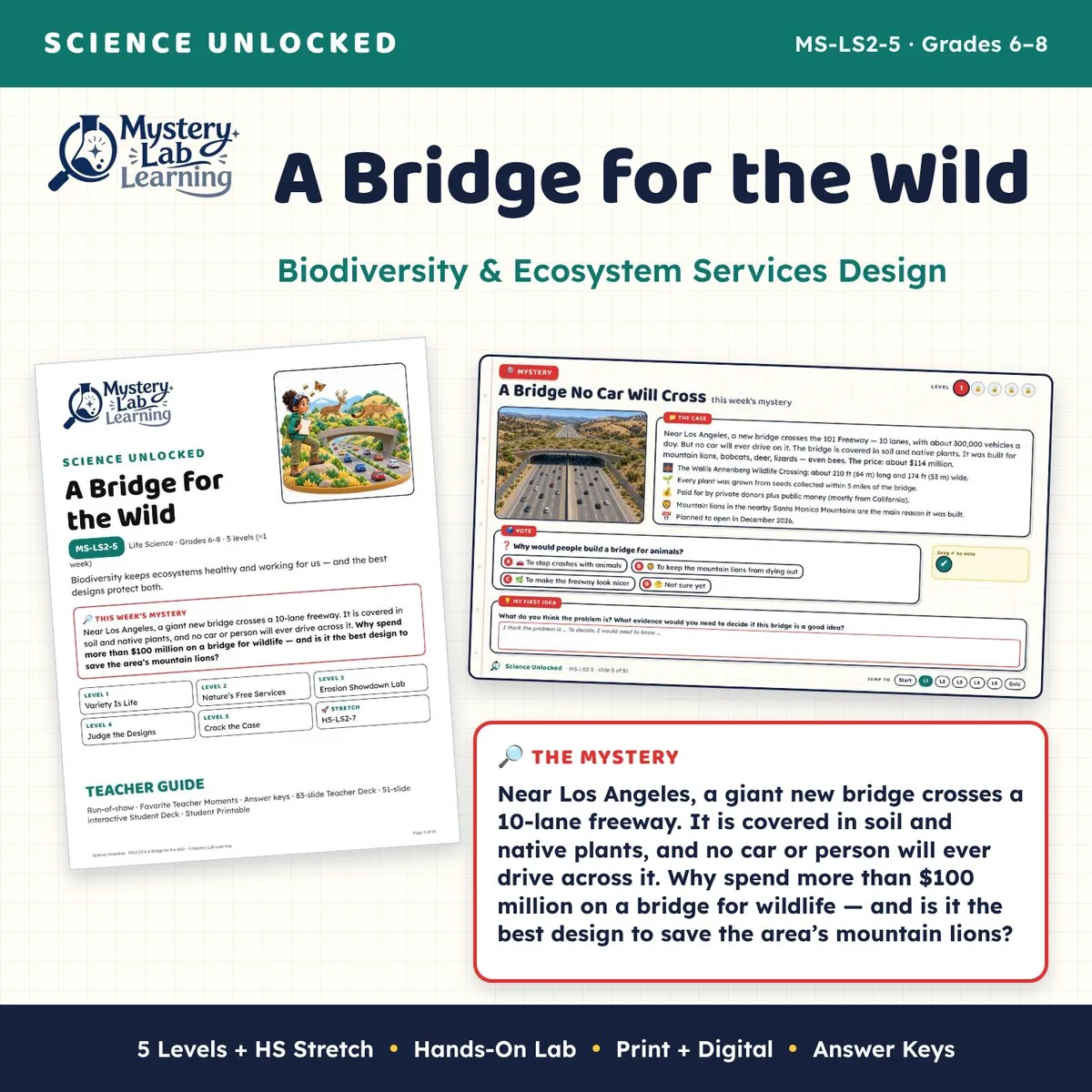 A Bridge for the Wild cover