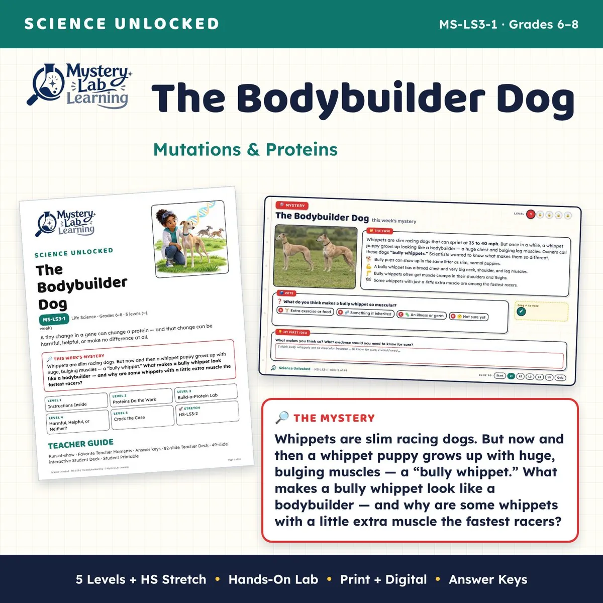 The Bodybuilder Dog cover