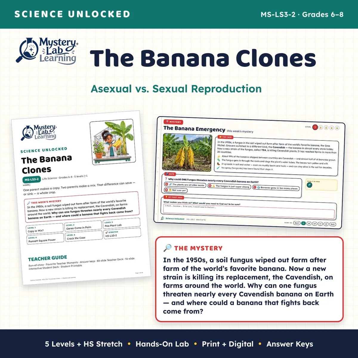 The Banana Clones cover