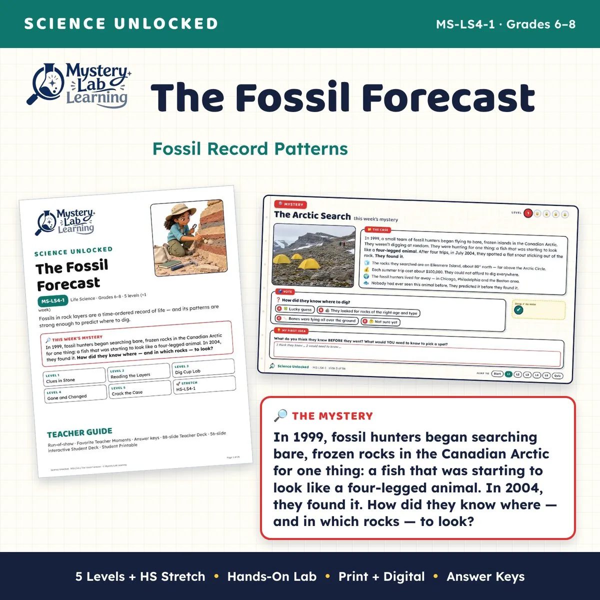 The Fossil Forecast cover