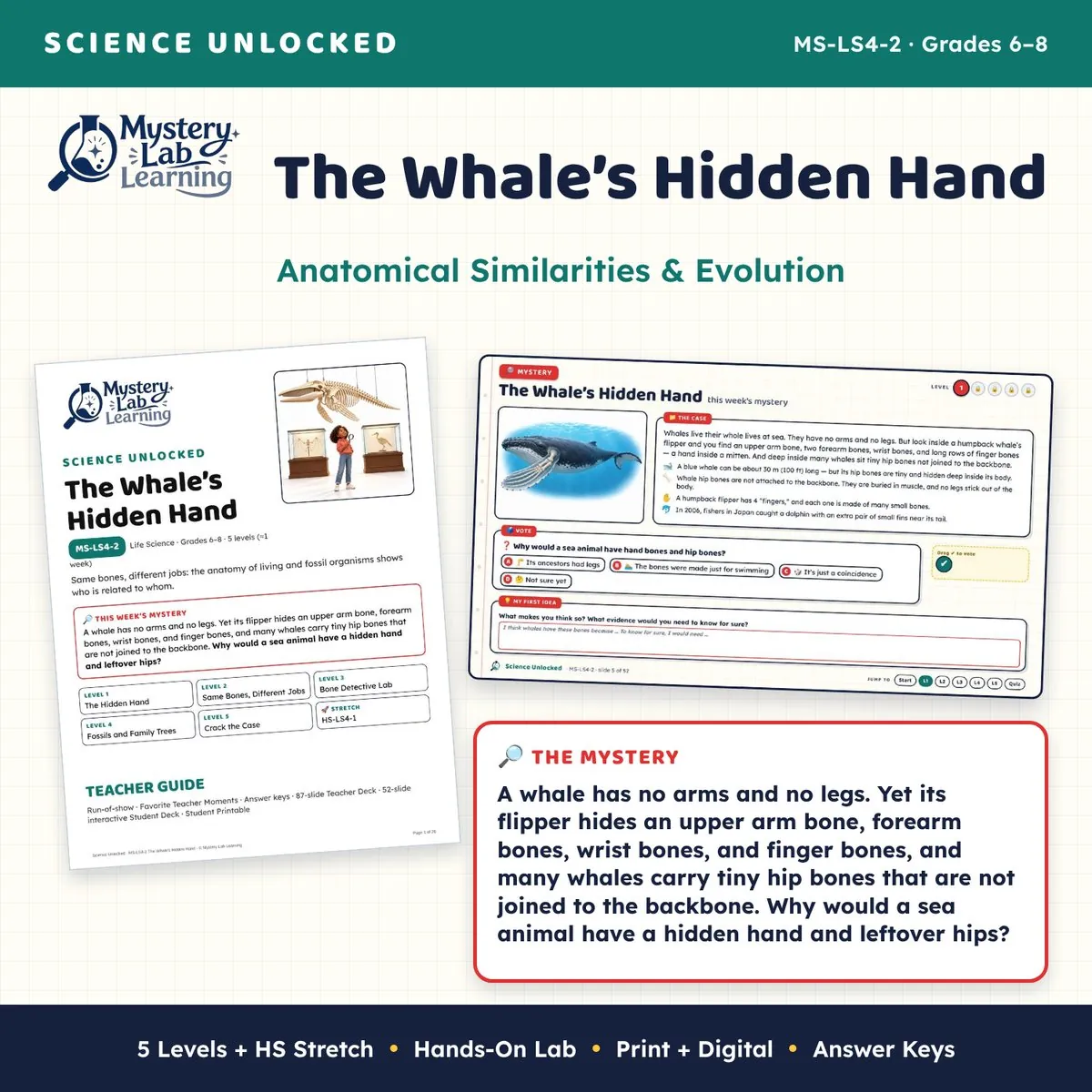The Whale’s Hidden Hand cover