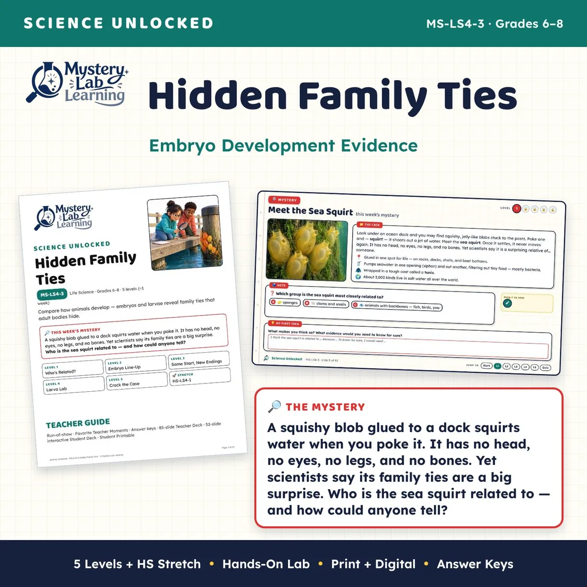 Hidden Family Ties cover