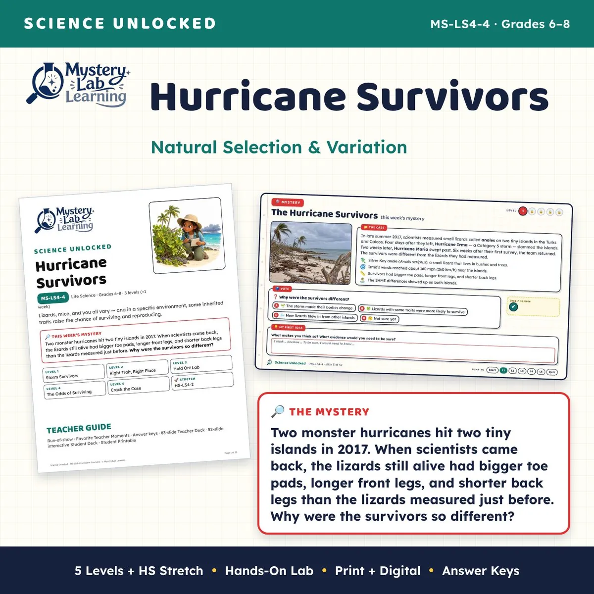 Hurricane Survivors cover