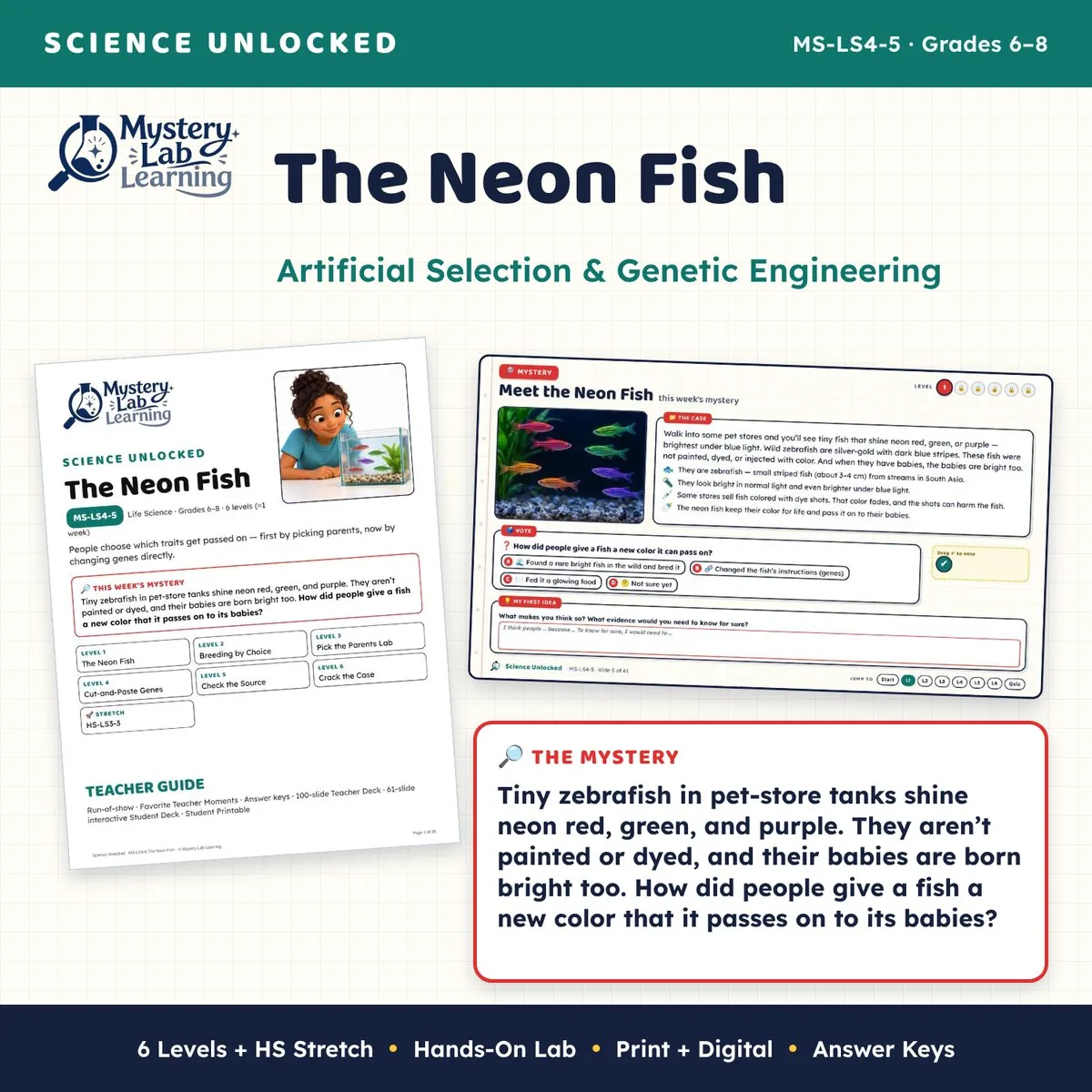 The Neon Fish cover