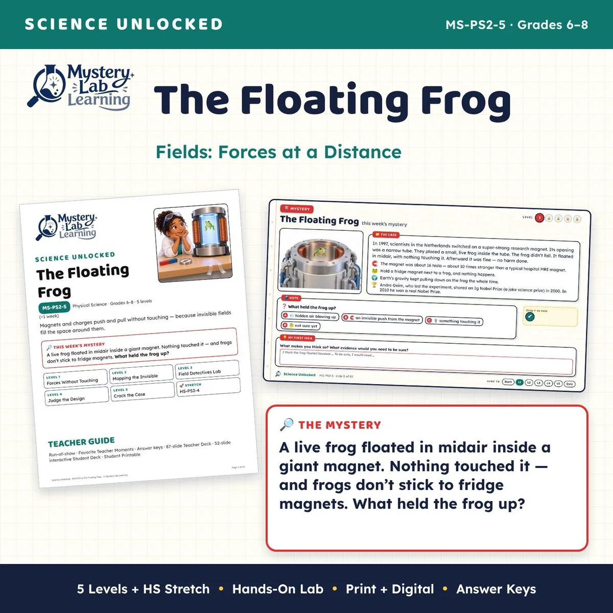 The Floating Frog cover