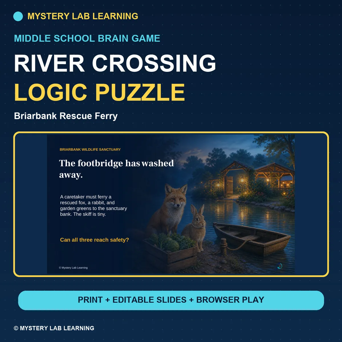 River Crossing Logic Puzzle cover