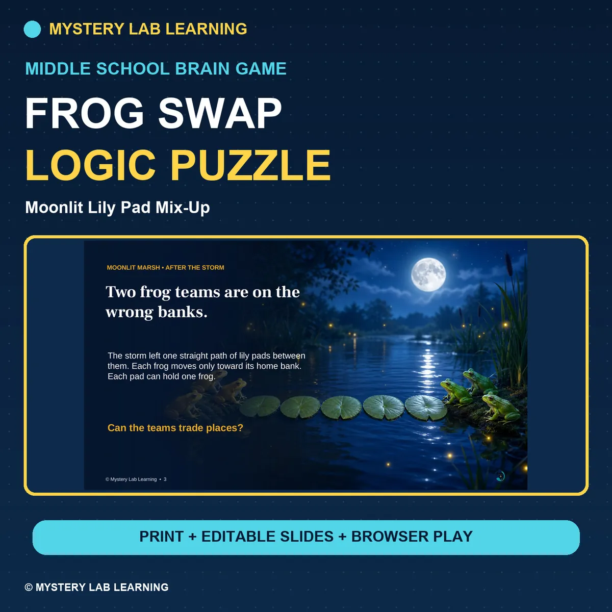 Frog Swap Logic Puzzle cover