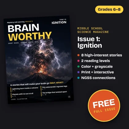 Brainworthy 1: Ignition cover