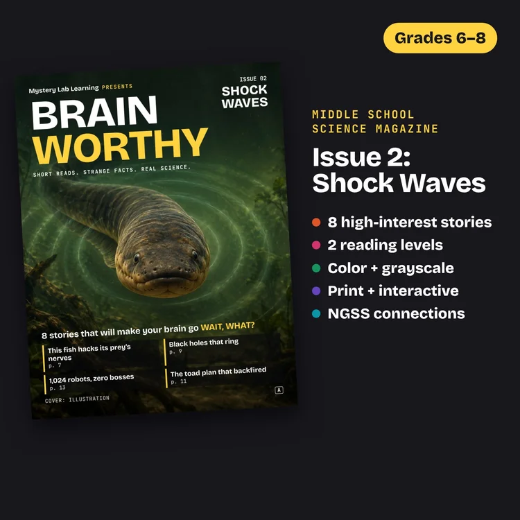 Brainworthy 2: Shock Waves cover