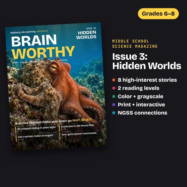 Brainworthy 3: Hidden Worlds cover