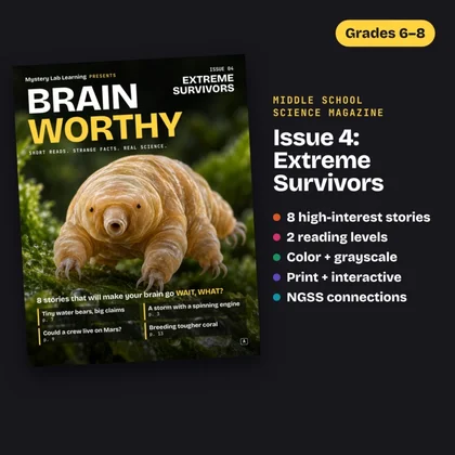 Brainworthy 4: Extreme Survivors cover