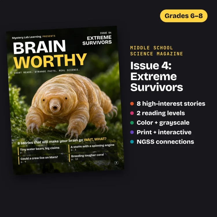 Brainworthy 4: Extreme Survivors cover