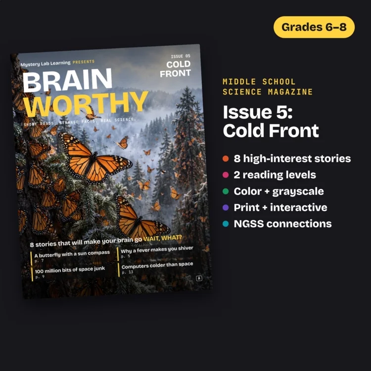 Brainworthy 5: Cold Front cover