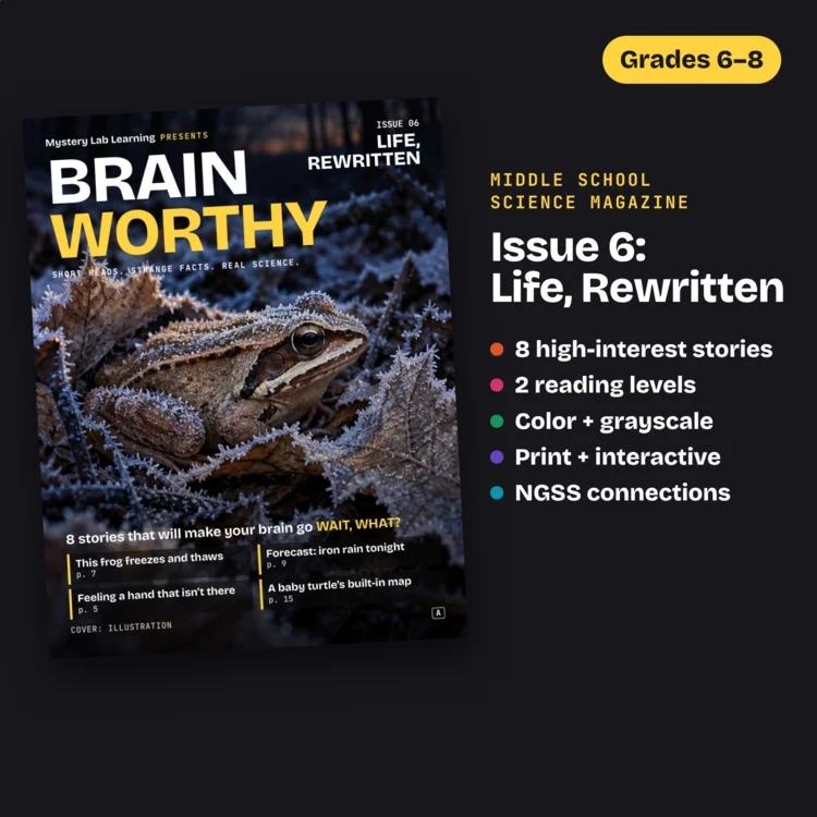 Brainworthy 6: Life, Rewritten cover