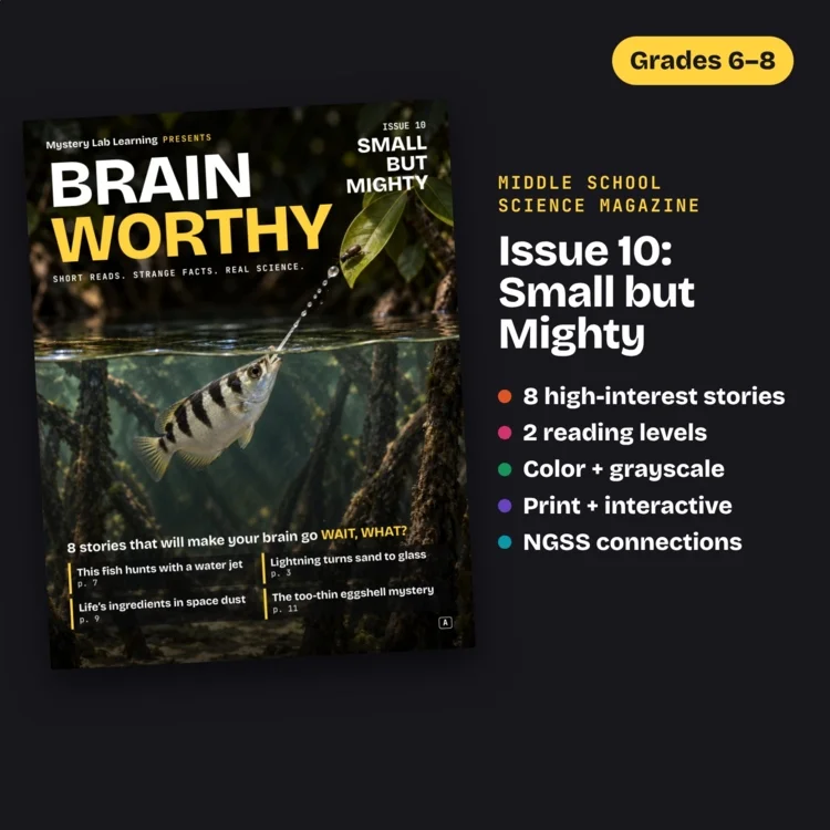 Brainworthy 10: Small but Mighty cover
