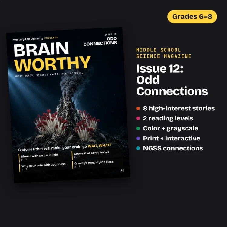 Brainworthy 12: Odd Connections cover