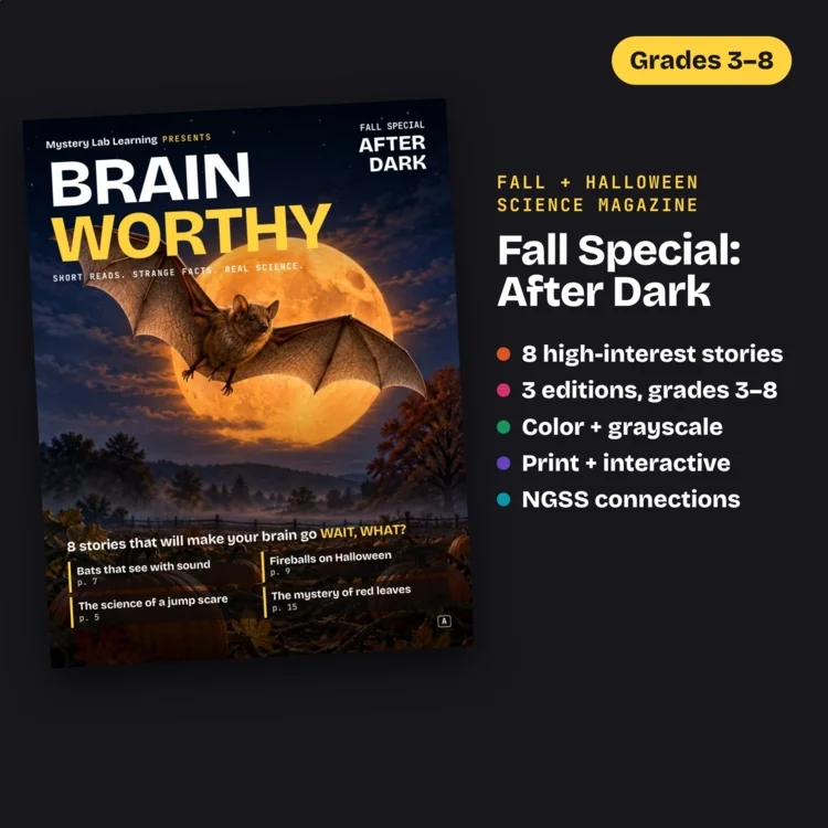 Brainworthy: After Dark cover