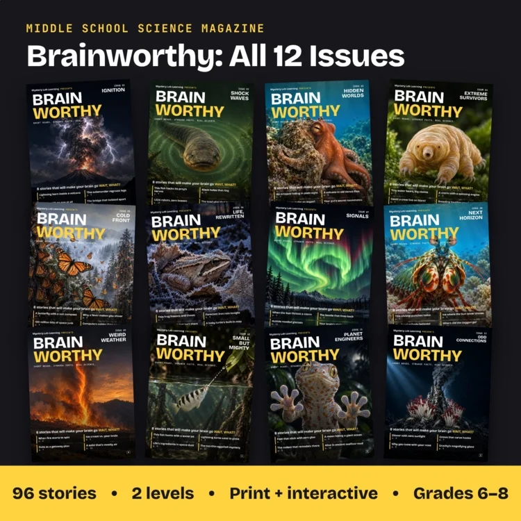 Brainworthy Bundle: All 12 Issues cover